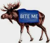 Queen Bitch's Avatar