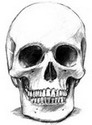 clipdealer's Avatar